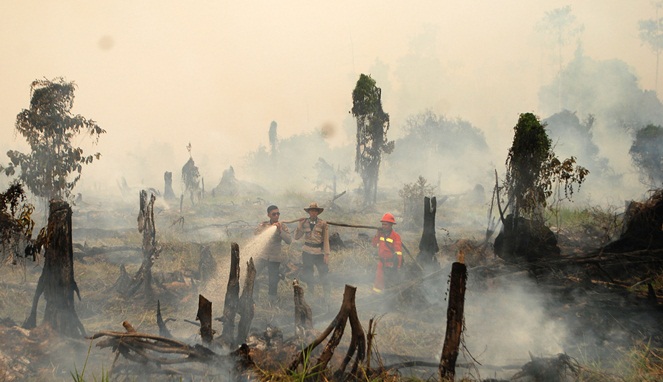 Orang Indonesia Tak Percaya Bahwa Pemanasan Global Akibat Manusia